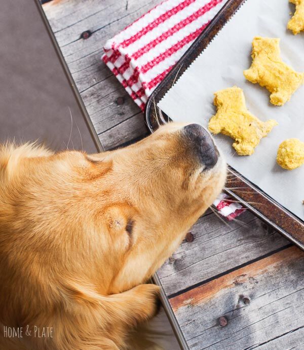 Homemade dog treats for dogs with allergies best sale