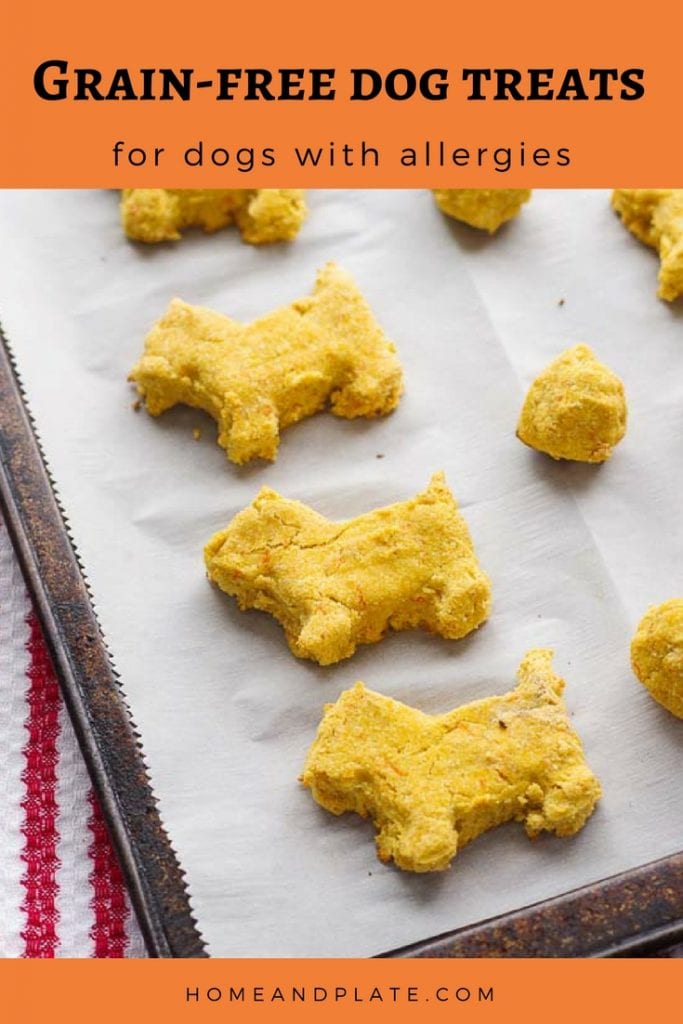 Dog Treats Recipe for Dogs with Allergies (Grain Free) - Home & Plate